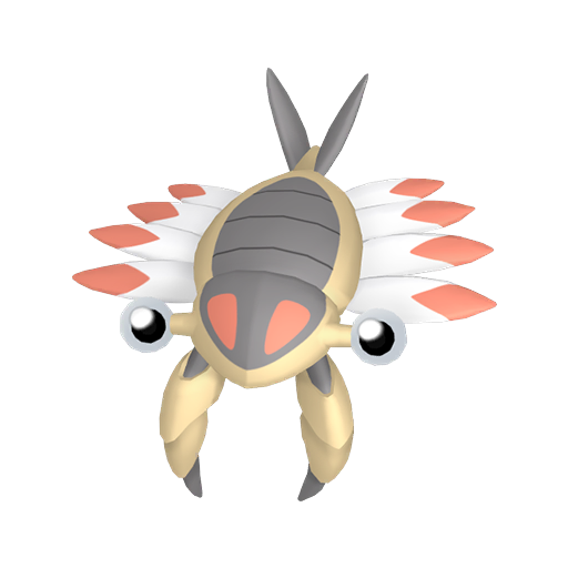 Shiny Anorith